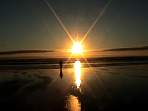 DSC00188.jpg