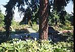 2002_08_Oregon_162_200208mp023_02120009.jpg