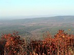 DSC00496.JPG