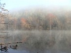 DSC00530.JPG