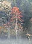 DSC00536.JPG