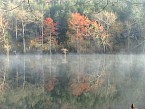 DSC00537.JPG