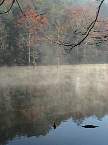 DSC00541.JPG