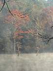DSC00542.JPG