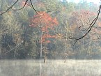 DSC00544.JPG