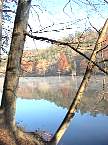 DSC00547.JPG
