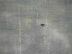 DSC00550.JPG