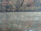 DSC00551.JPG