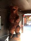 DSC00567.JPG