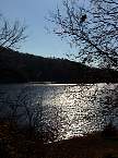 DSC00576.JPG