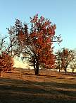 DSC00606.JPG