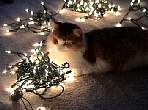 md_DSC00643.jpg