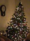 md_DSC00649.jpg