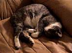 md_DSC00653.jpg