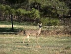 DSC00811.JPG