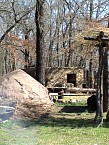 DSC00831.JPG