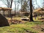 DSC00836.JPG