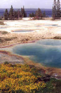 West Thumb Geyser Basin