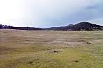 WF30A0216365678_01_437.jpg
