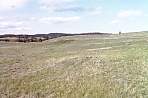 WF30A0216365678_02_436.jpg