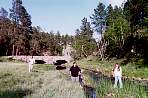 WF30A0216365678_05_433.jpg