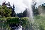 WF30A0216365678_06_432.jpg