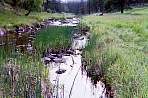 WF30A0216365678_07_431.jpg