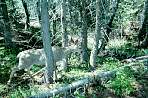 WF30C0216281027_06_229.jpg