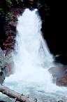 WF30C0216281027_10_225.jpg