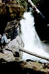 WF30C0216281427_17_363.jpg