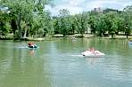 WF30C0216281929_20_117.jpg