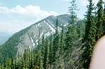 WF30C0216282064_12_096.jpg