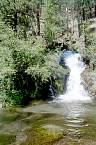 WF30C0216282269_15_394.jpg