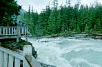WF30C0216283116_10_341.jpg