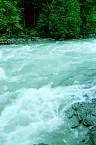 WF30C0216283116_11_340.jpg