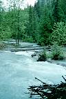 WF30C0216283116_14_337.jpg