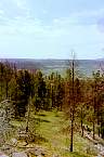 WF30C0216283336_07_055.jpg