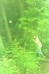 WF30C0216283336_15_047.jpg