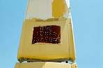 WF30C0216283652_15_191.jpg