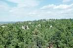 WF30C0216283652_24_182.jpg