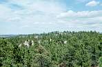 WF30C0216283652_29_177.jpg