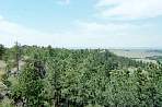 WF30C0216283652_31_175.jpg