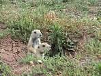 DSC00018.JPG