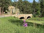 DSC00019.JPG