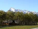 DSC00176.jpg