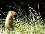 DSC00213.jpg