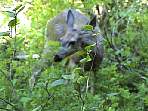 DSC00220.jpg