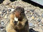 DSC00294.jpg