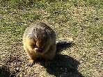 DSC00300.jpg