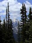 DSC00321.jpg